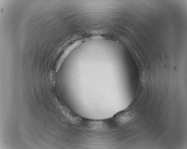 X0000054440428200508270017