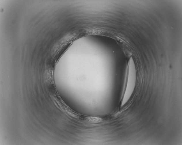 X0000054440429200508270017