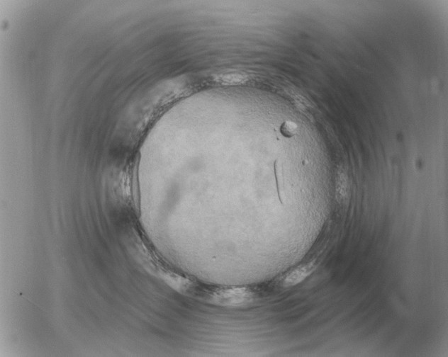 X0000054440431200508270017