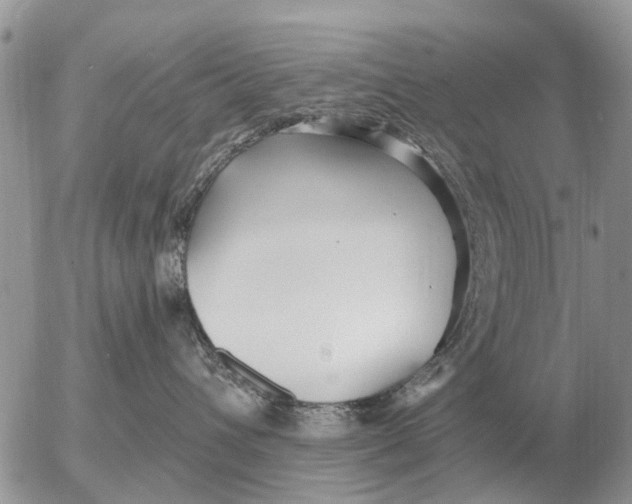 X0000054440432200508270017