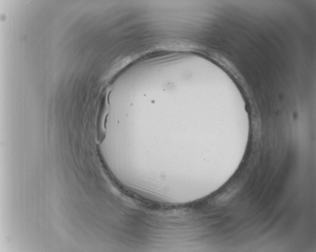 X0000054440433200508270016