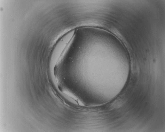 X0000054440434200508270016