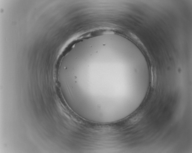 X0000054440435200508270016