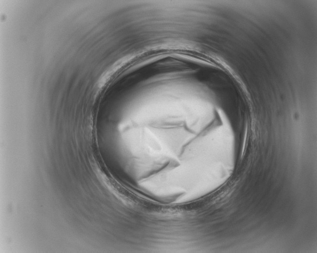 X0000054440437200508270016