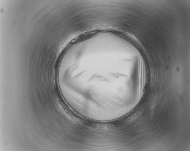 X0000054440439200508270016