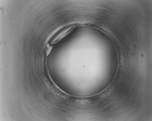 X0000054440440200508270016