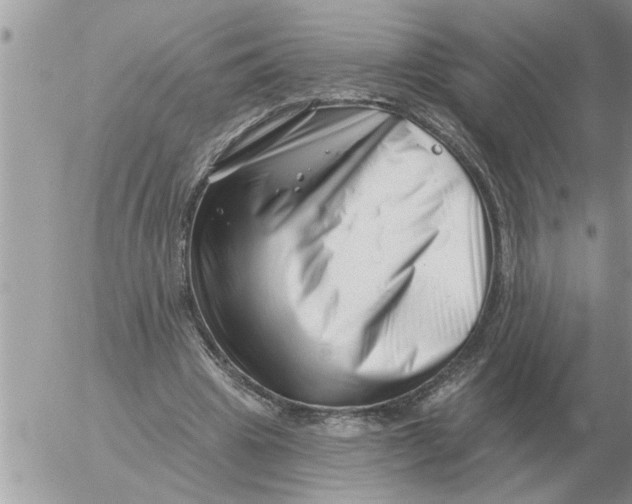 X0000054440441200508270017