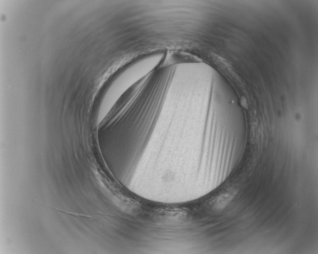 X0000054440443200508270017