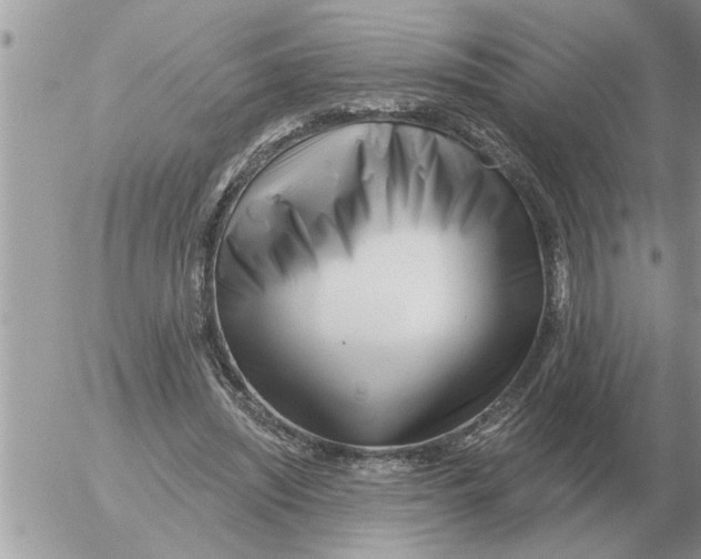 X0000054440444200508270017