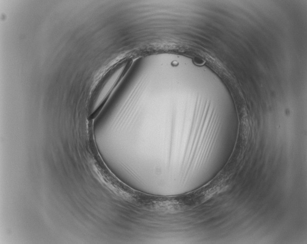 X0000054440446200508270017