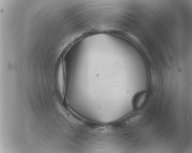 X0000054440447200508270017