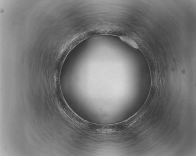 X0000054440448200508270017