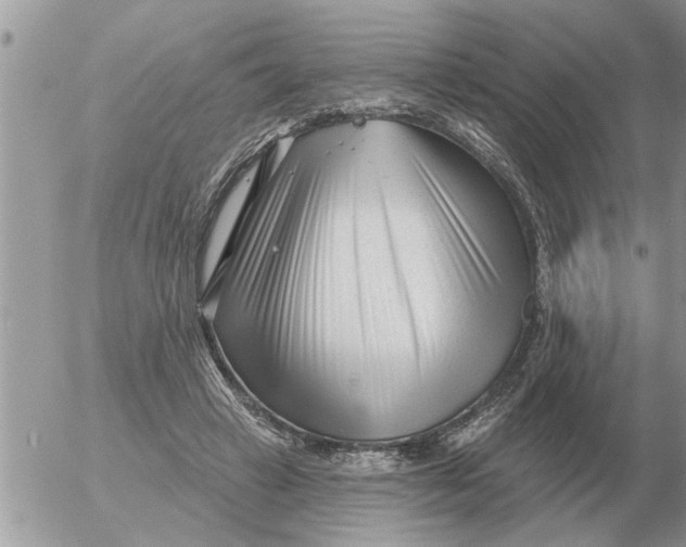 X0000054440449200508270017