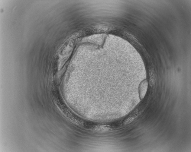 X0000054440451200508270017