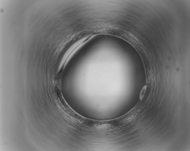 X0000054440452200508270017