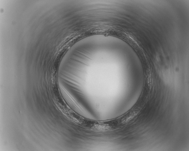 X0000054440455200508270017