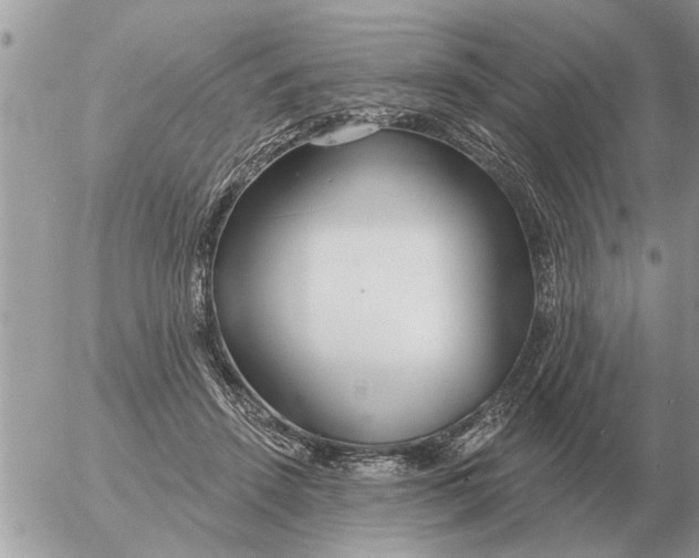 X0000054440456200508270017