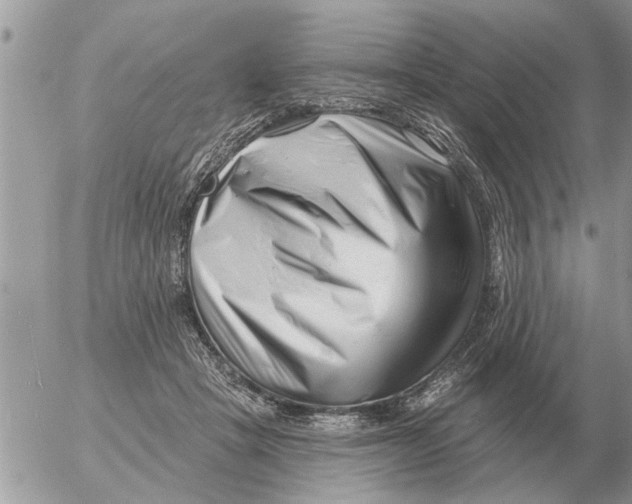 X0000054440457200508270017