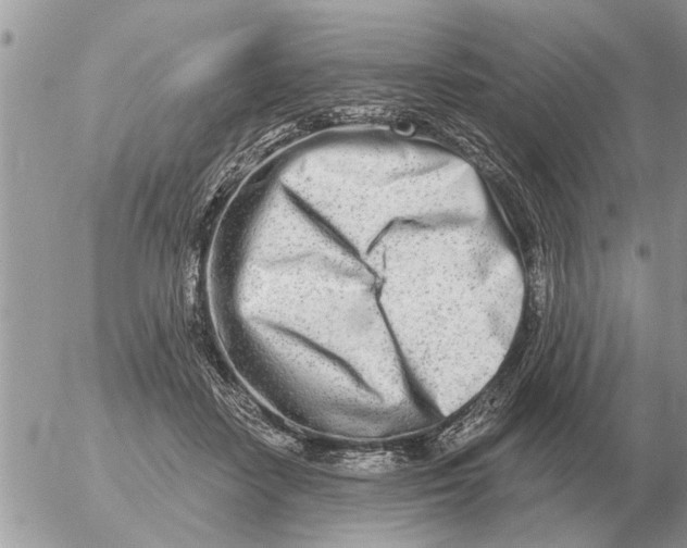 X0000054440458200508270017