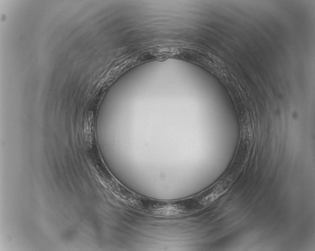 X0000054440460200508270017