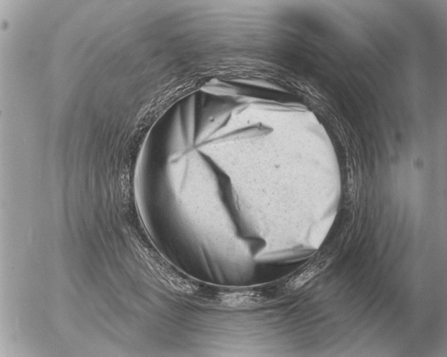 X0000054440461200508270017