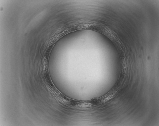 X0000054440463200508270017