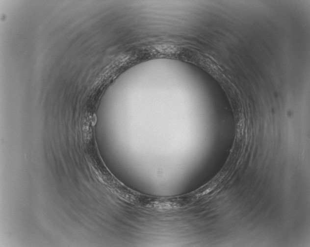 X0000054440464200508270017