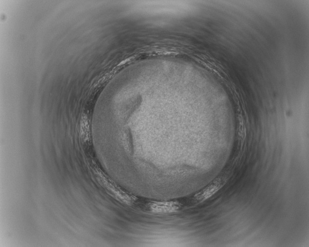 X0000054440465200508270017