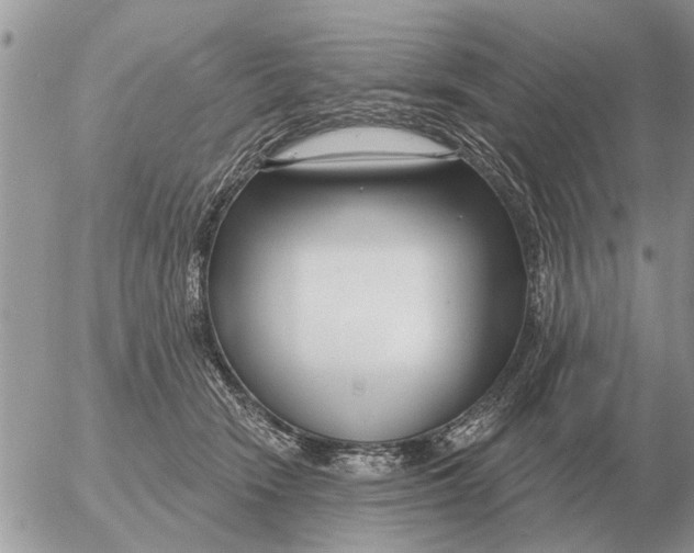 X0000054440466200508270017