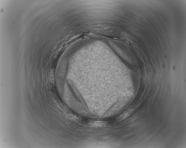 X0000054440467200508270017