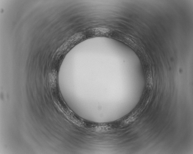 X0000054440468200508270017