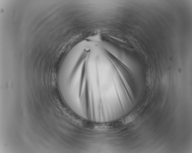 X0000054440470200508270017