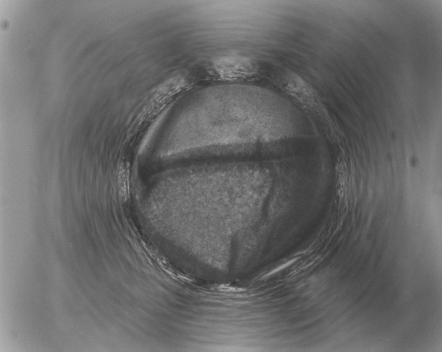 X0000054440471200508270017