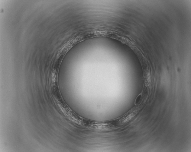 X0000054440472200508270017