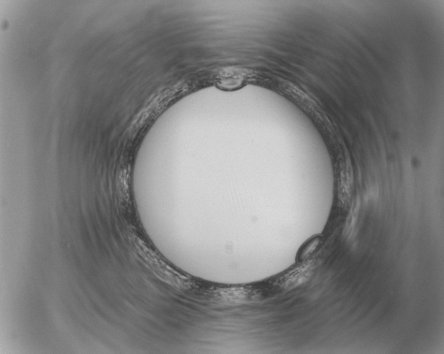 X0000054440473200508270017