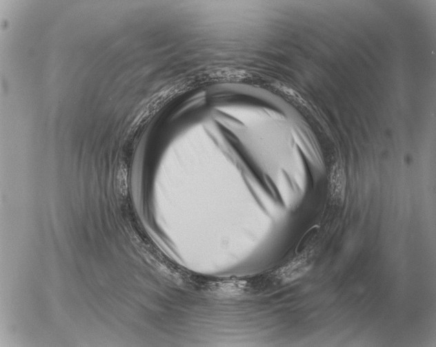 X0000054440474200508270017