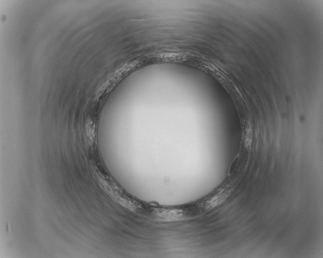 X0000054440476200508270017