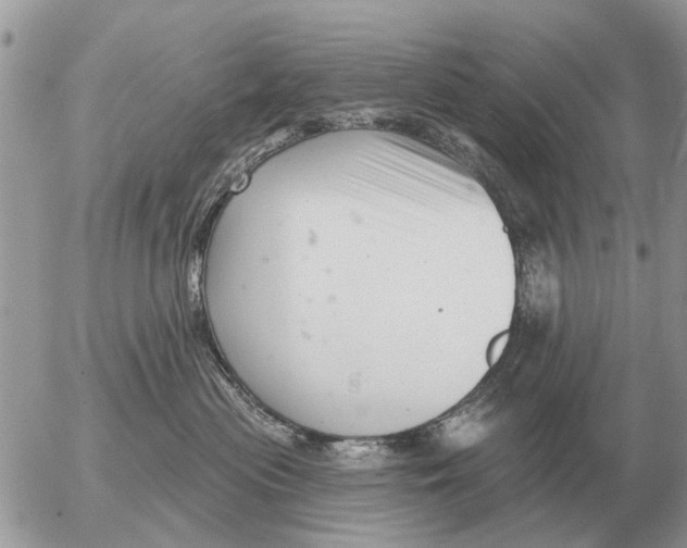 X0000054440477200508270017