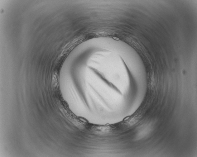 X0000054440478200508270017