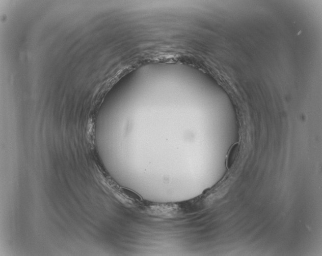 X0000054440480200508270017