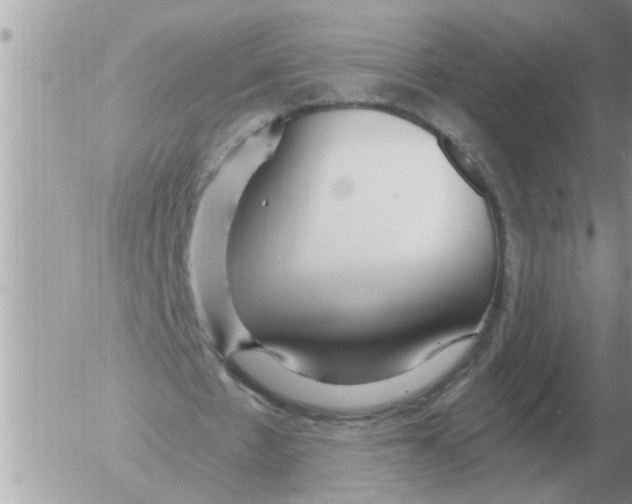 X0000054440481200508270016