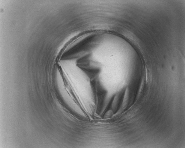 X0000054440483200508270016