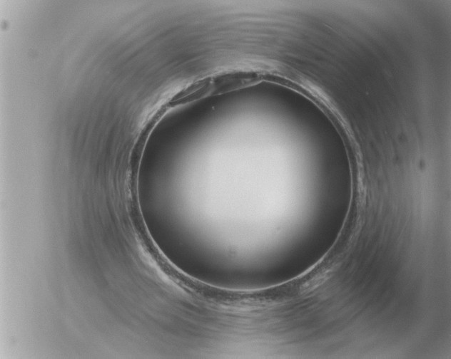 X0000054440485200508270016