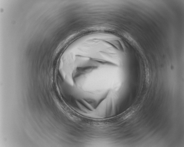 X0000054440486200508270016