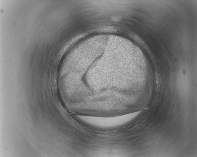 X0000054440487200508270016