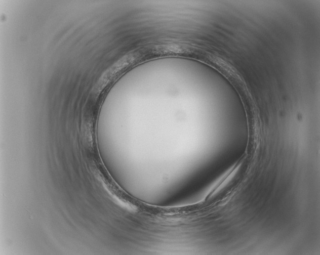 X0000054440489200508270016