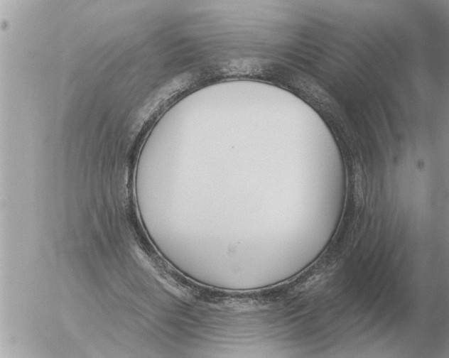 X0000054440490200508270016