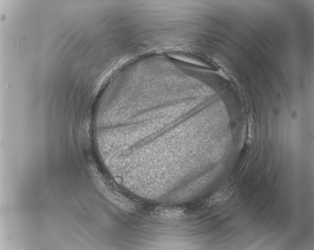 X0000054440491200508270016