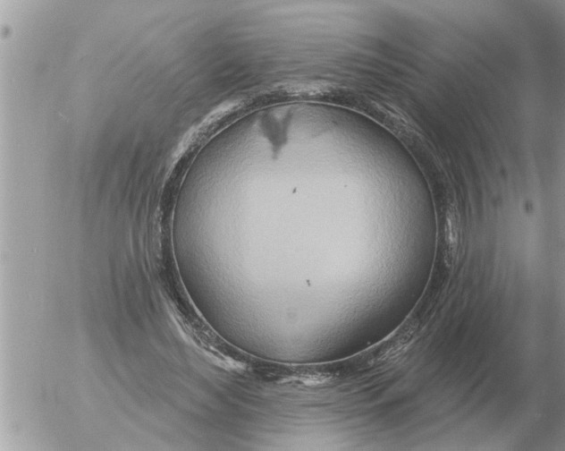 X0000054440492200508270016