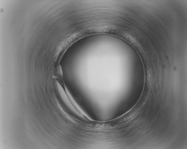 X0000054440493200508270016